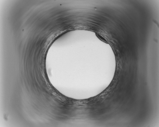 X0000102250241200808151823