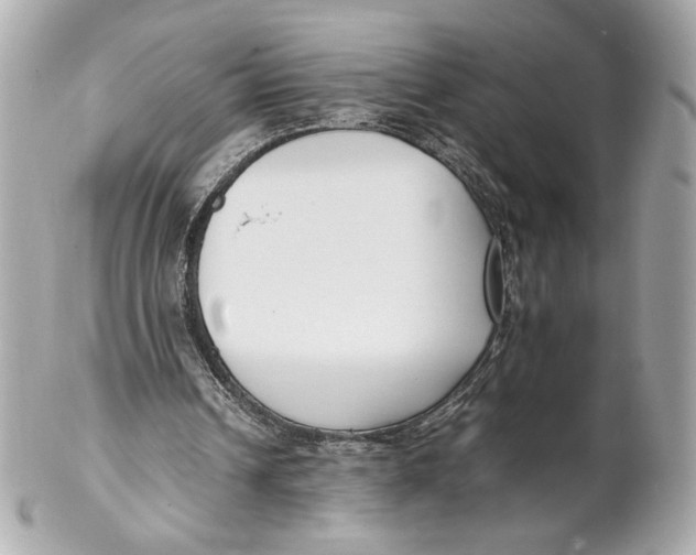 X0000102250242200808151823
