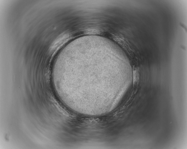 X0000102250243200808151823
