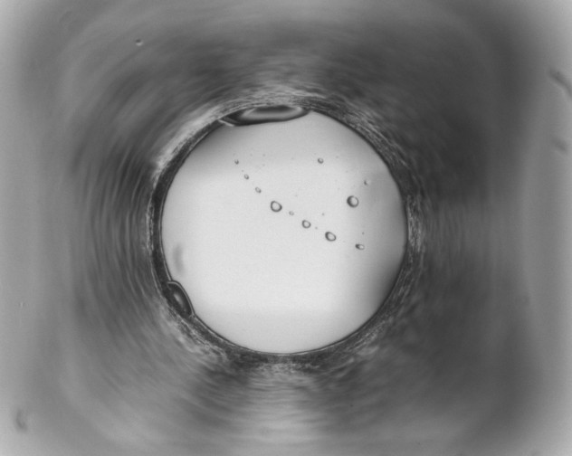 X0000102250244200808151823