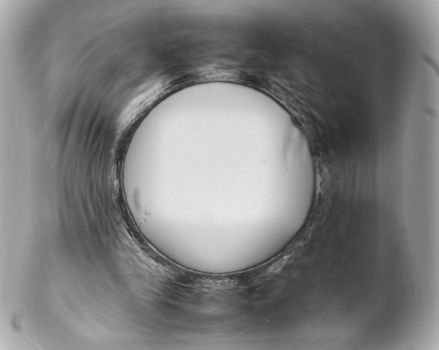 X0000102250245200808151823