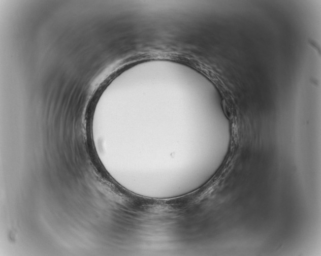 X0000102250246200808151823