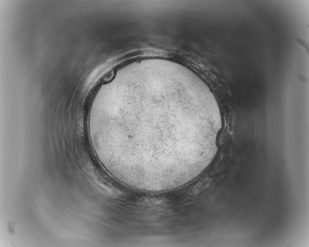 X0000102250247200808151823
