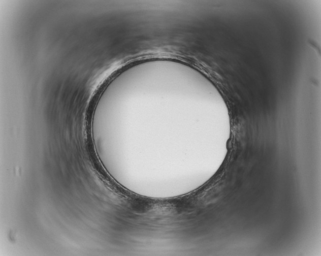 X0000102250248200808151823