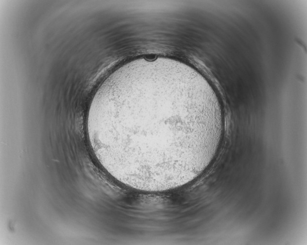 X0000102250249200808151823