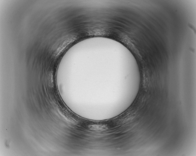 X0000102250251200808151823