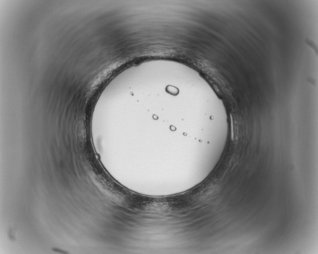 X0000102250252200808151823