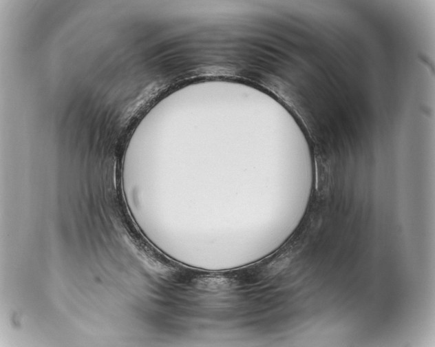 X0000102250253200808151823