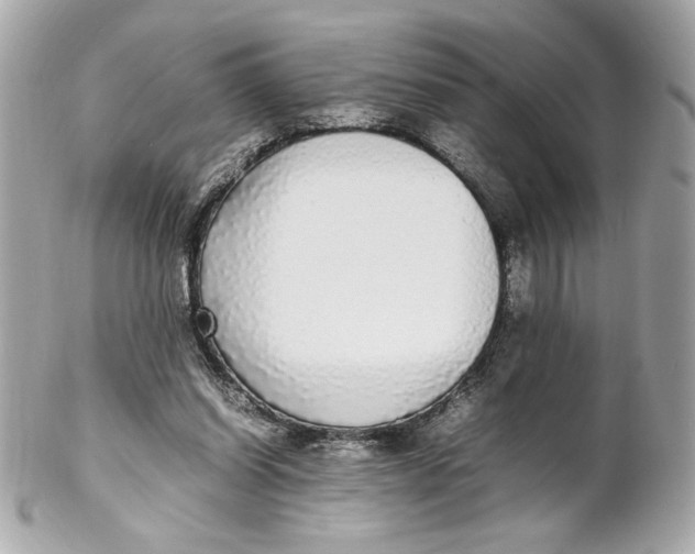 X0000102250254200808151823