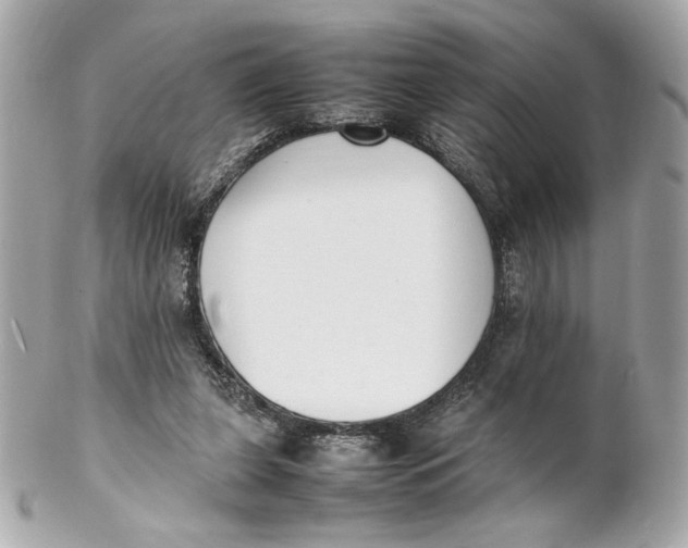 X0000102250255200808151823