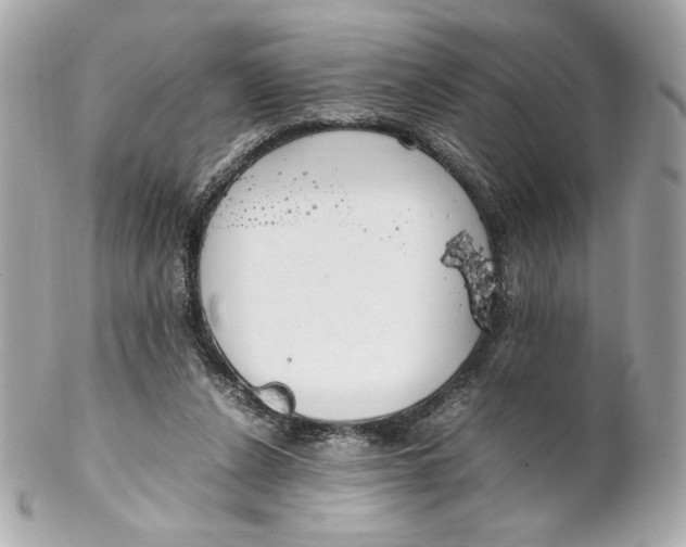 X0000102250256200808151823