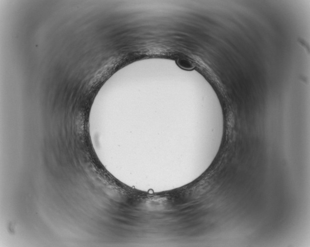 X0000102250257200808151823