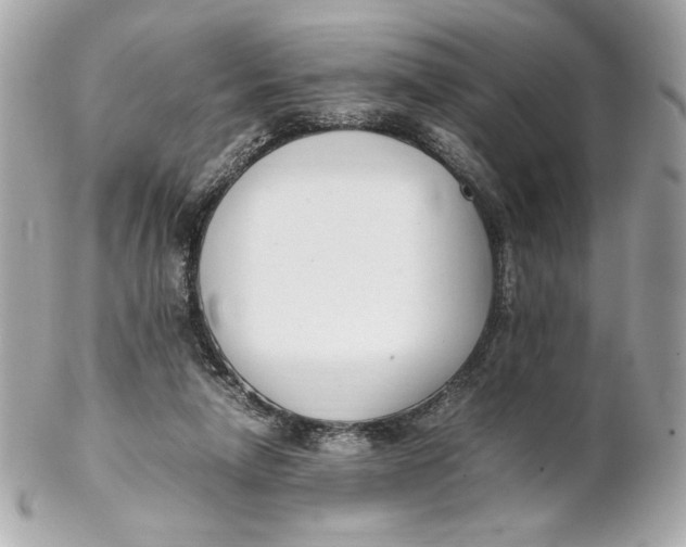X0000102250258200808151823