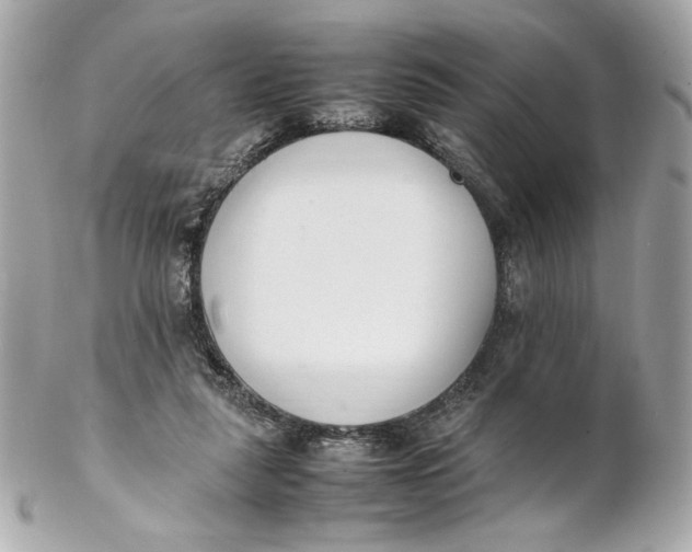 X0000102250259200808151823