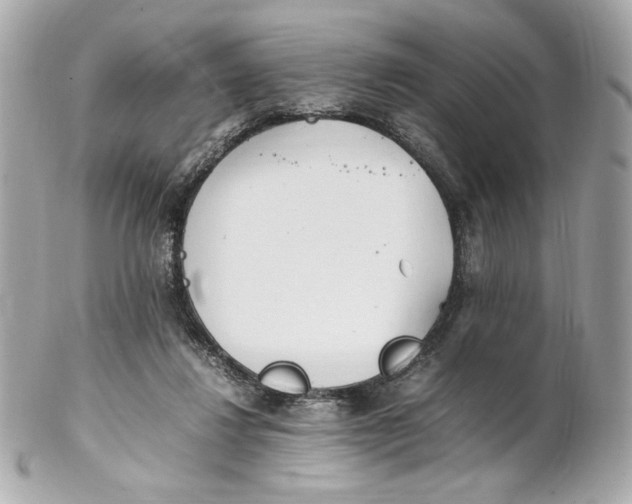 X0000102250260200808151823