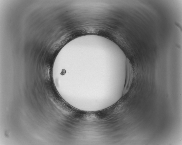 X0000102250262200808151824