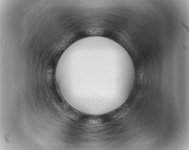X0000102250263200808151824