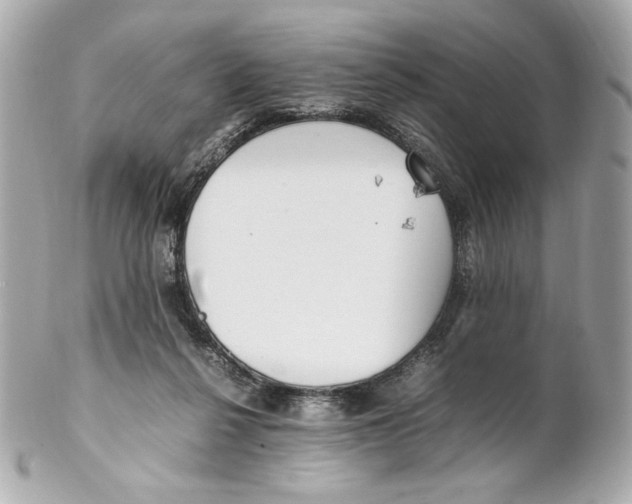 X0000102250264200808151824