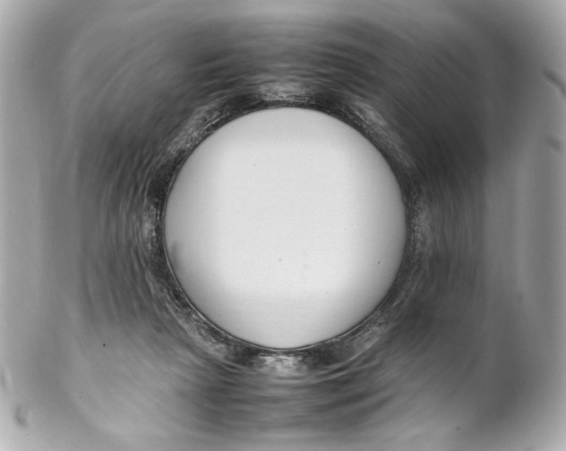 X0000102250265200808151824