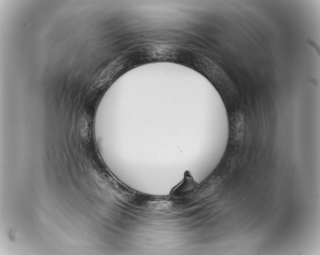 X0000102250266200808151824