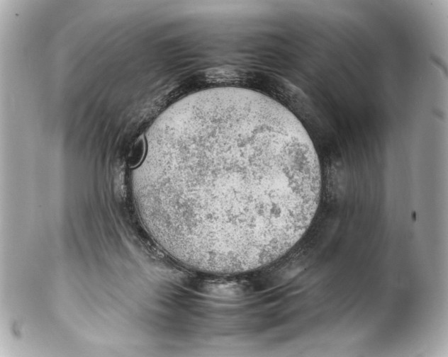 X0000102250267200808151824