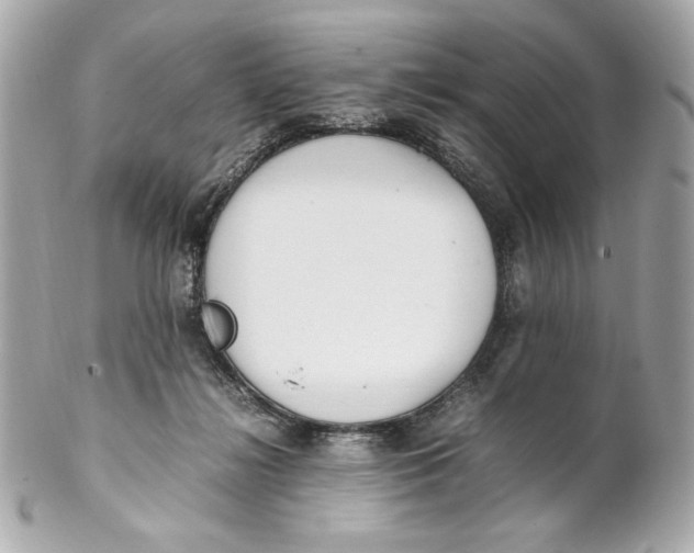 X0000102250268200808151824