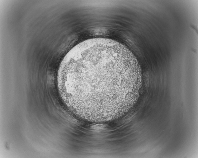 X0000102250269200808151824