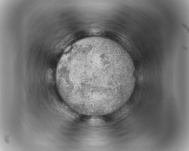 X0000102250270200808151824