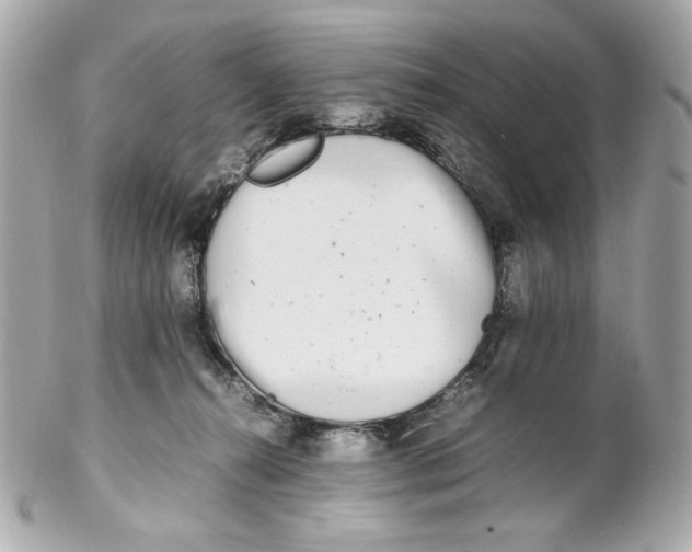 X0000102250272200808151824