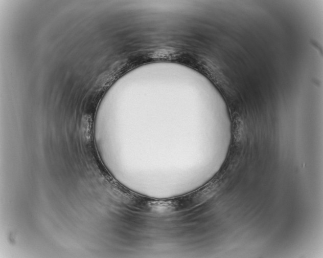 X0000102250273200808151824