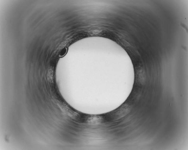 X0000102250274200808151824