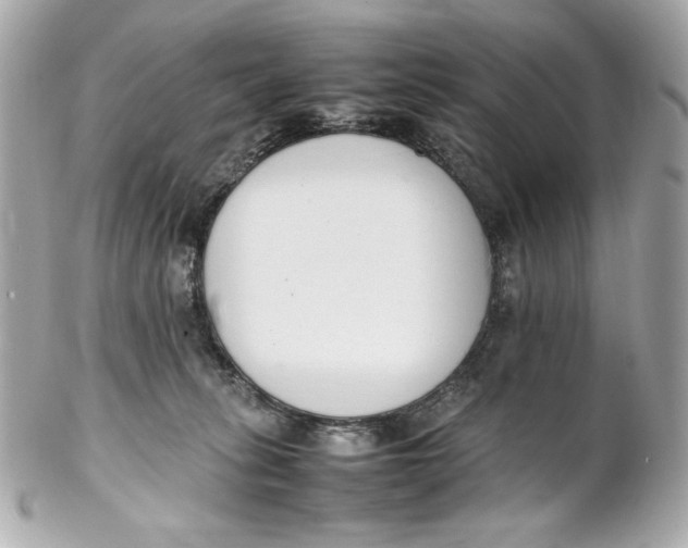 X0000102250275200808151824