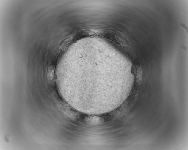 X0000102250276200808151824