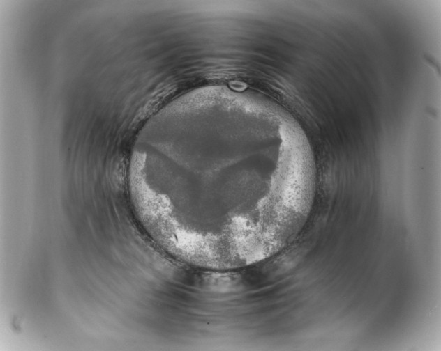 X0000102250277200808151824