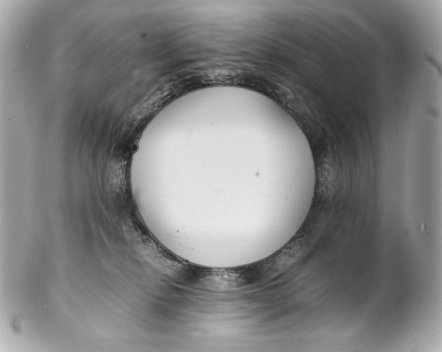 X0000102250278200808151824