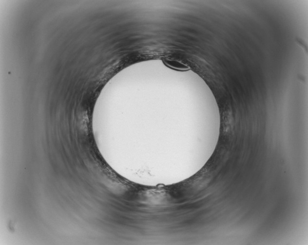 X0000102250279200808151824