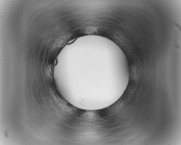 X0000102250280200808151824