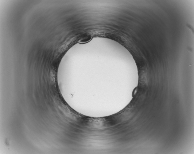 X0000102250282200808151824