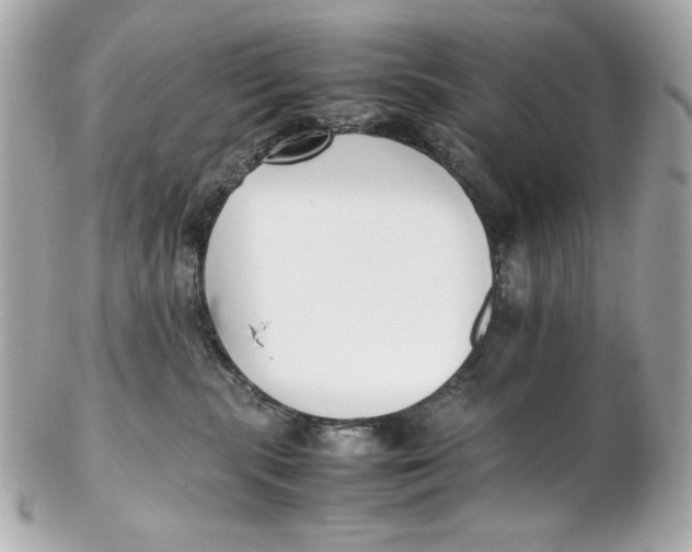 X0000102250283200808151824
