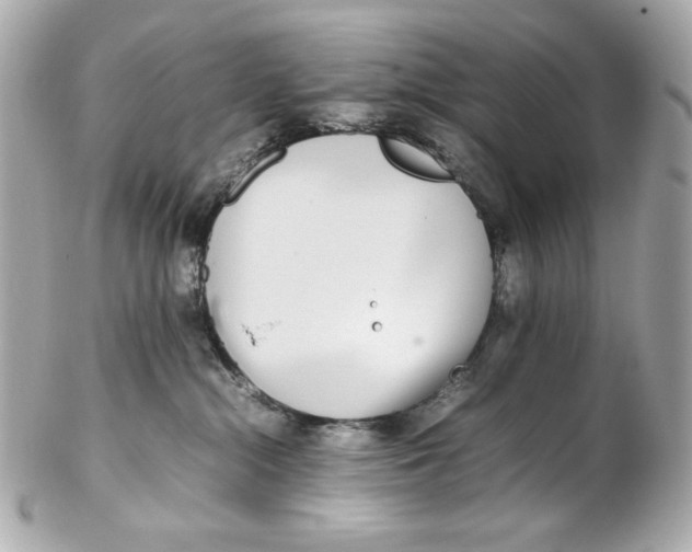 X0000102250284200808151824