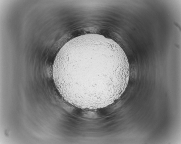 X0000102250285200808151824