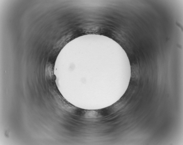 X0000102250287200808151824