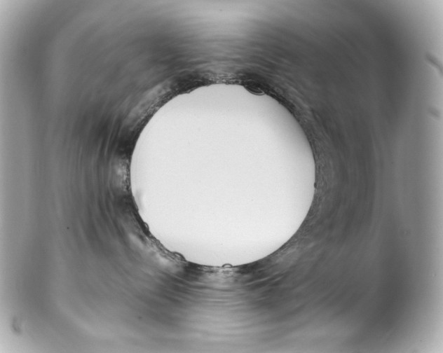 X0000102250288200808151824
