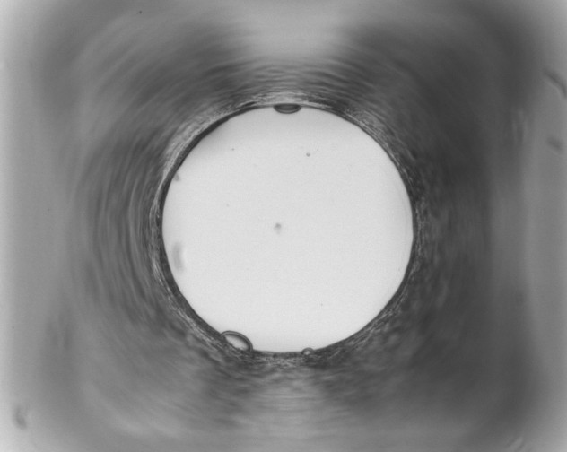 X0000102250289200808151823