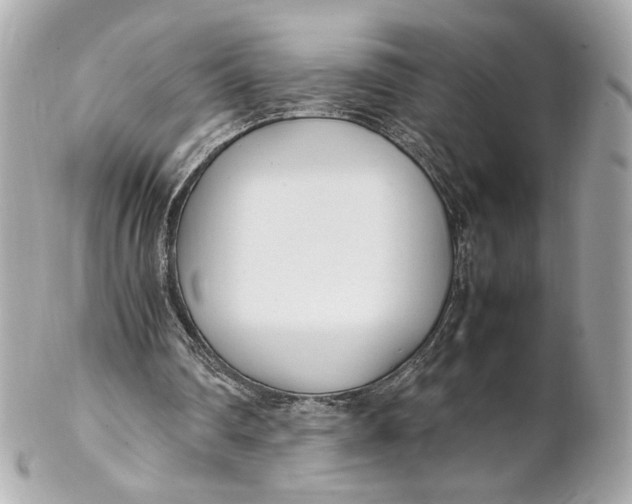 X0000102250290200808151823