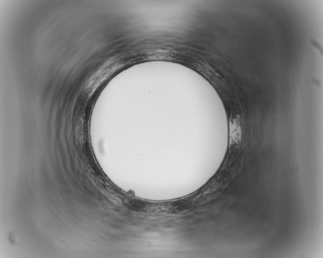 X0000102250291200808151823