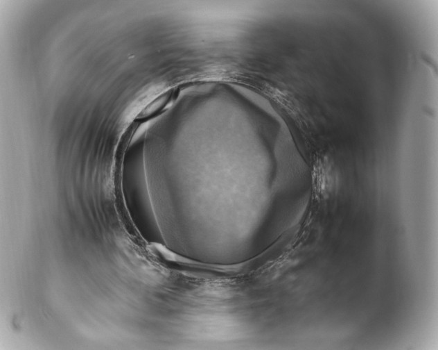 X0000102250292200808151823