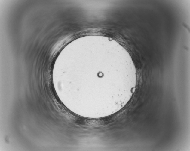 X0000102250293200808151823