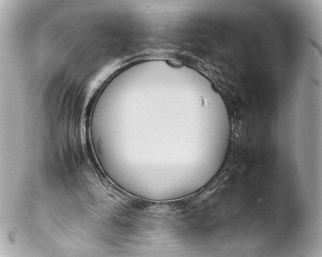 X0000102250294200808151823