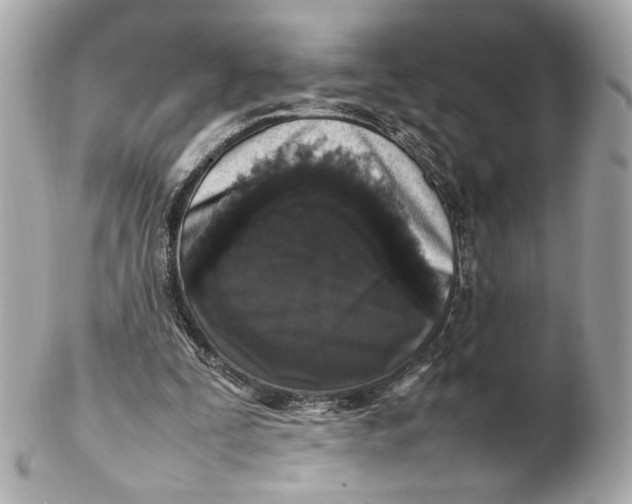 X0000102250295200808151823